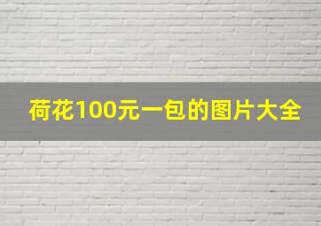 荷花100元一包的图片大全