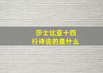 莎士比亚十四行诗说的是什么