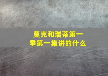 莫克和瑞蒂第一季第一集讲的什么