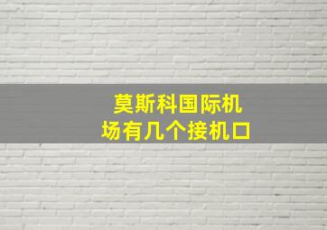 莫斯科国际机场有几个接机口