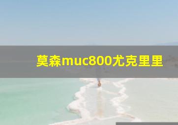 莫森muc800尤克里里