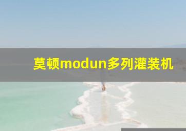 莫顿modun多列灌装机