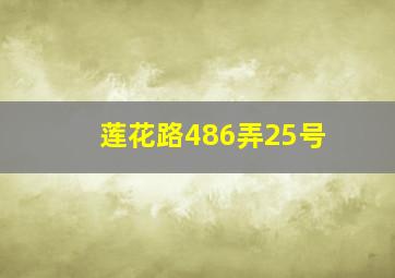 莲花路486弄25号