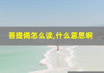 菩提偈怎么读,什么意思啊