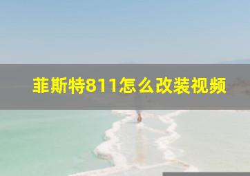 菲斯特811怎么改装视频