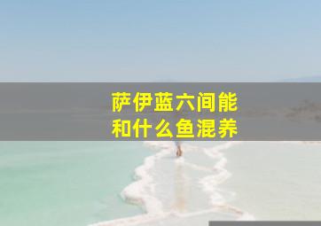 萨伊蓝六间能和什么鱼混养