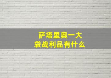 萨塔里奥一大袋战利品有什么