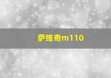 萨维奇m110