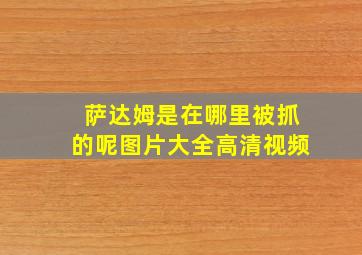 萨达姆是在哪里被抓的呢图片大全高清视频