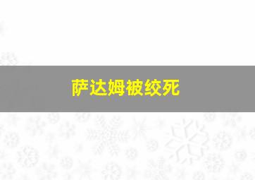 萨达姆被绞死