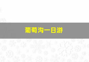 葡萄沟一日游