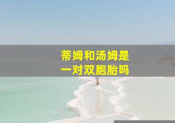 蒂姆和汤姆是一对双胞胎吗