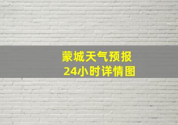 蒙城天气预报24小时详情图