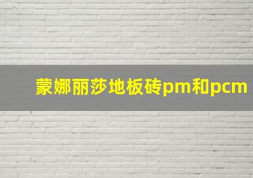 蒙娜丽莎地板砖pm和pcm