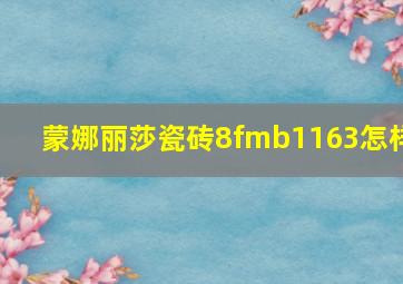 蒙娜丽莎瓷砖8fmb1163怎样