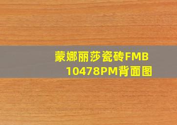 蒙娜丽莎瓷砖FMB10478PM背面图