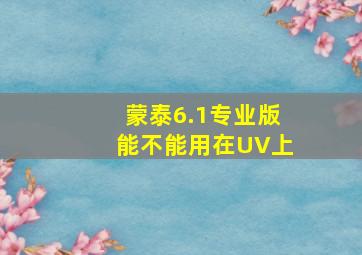 蒙泰6.1专业版能不能用在UV上