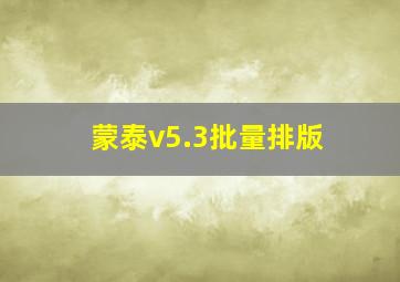 蒙泰v5.3批量排版