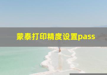 蒙泰打印精度设置pass