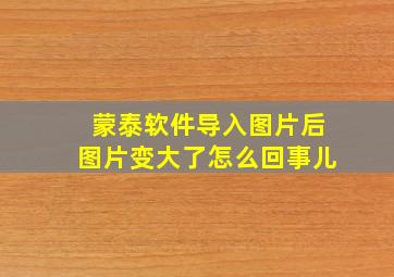 蒙泰软件导入图片后图片变大了怎么回事儿