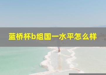 蓝桥杯b组国一水平怎么样