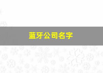 蓝牙公司名字