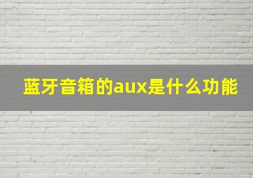 蓝牙音箱的aux是什么功能