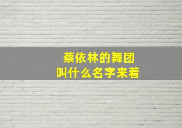 蔡依林的舞团叫什么名字来着