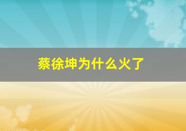 蔡徐坤为什么火了