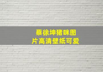 蔡徐坤猪咪图片高清壁纸可爱