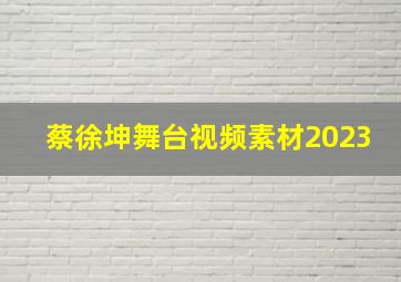 蔡徐坤舞台视频素材2023