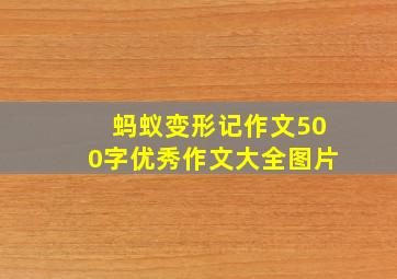 蚂蚁变形记作文500字优秀作文大全图片