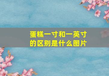 蛋糕一寸和一英寸的区别是什么图片