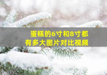 蛋糕的6寸和8寸都有多大图片对比视频