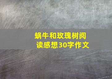 蜗牛和玫瑰树阅读感想30字作文