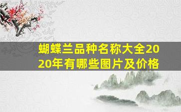 蝴蝶兰品种名称大全2020年有哪些图片及价格