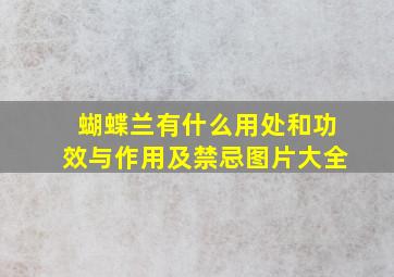 蝴蝶兰有什么用处和功效与作用及禁忌图片大全