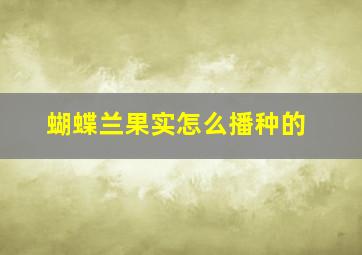 蝴蝶兰果实怎么播种的