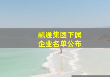 融通集团下属企业名单公布