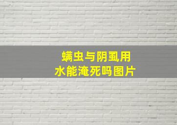 螨虫与阴虱用水能淹死吗图片