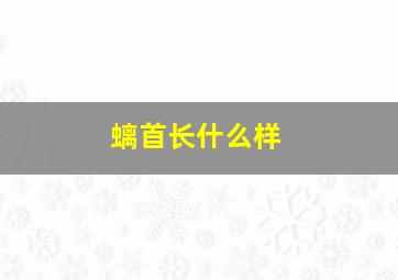 螭首长什么样