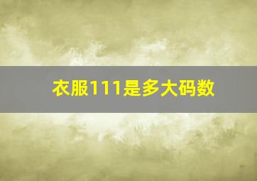 衣服111是多大码数