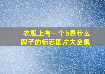 衣服上有一个b是什么牌子的标志图片大全集