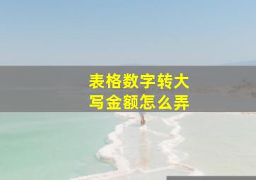 表格数字转大写金额怎么弄