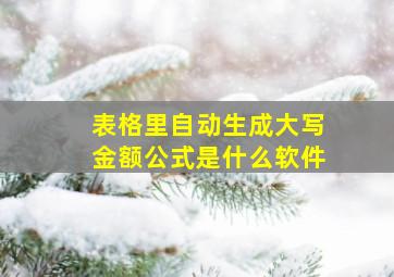 表格里自动生成大写金额公式是什么软件