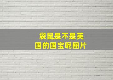 袋鼠是不是英国的国宝呢图片