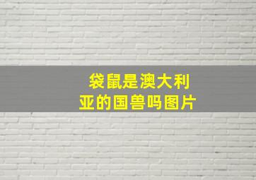 袋鼠是澳大利亚的国兽吗图片