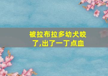 被拉布拉多幼犬咬了,出了一丁点血