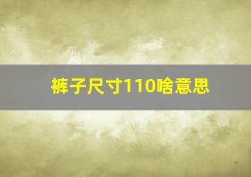 裤子尺寸110啥意思