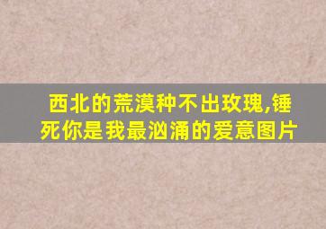 西北的荒漠种不出玫瑰,锤死你是我最汹涌的爱意图片